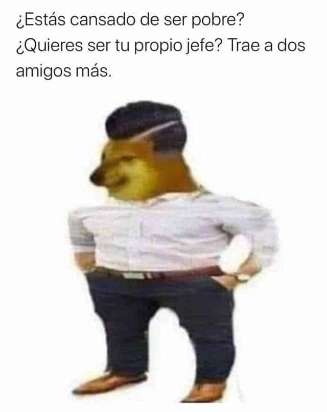 “BÁSICAMENTE ES UN PROYECTO DE MARKETING POR INTERNET, ASÍ QUE NO NECESITAS VIAJAR, MOVERTE, GASTAR PLATA, ESTAR DETERMINADAS CANTIDAD DE HORAS POR DÍA CON ESTO NI NADA TRADICIONAL NI CLÁSICO. ES SUPER FLEXIBLE”. SÓLO TENES QUE TRAER AMIGOS A LA PIRÁMIDE AL SISTEMA DE TRABAJO". Y siempre te la rematan con un: “¿TE INTERESA?”