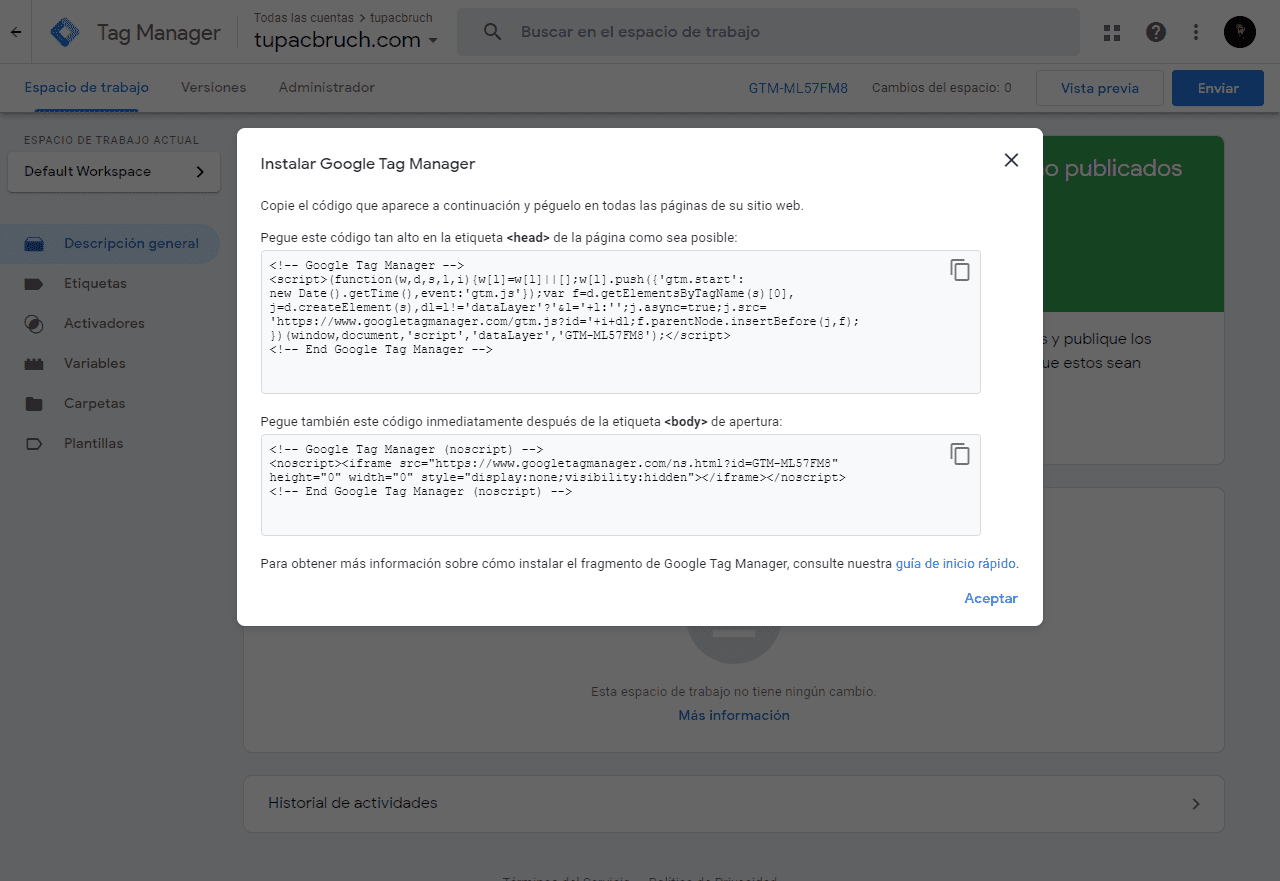 script etiqueta tag manager