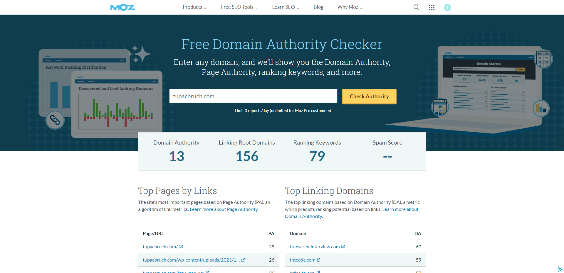 MOZ SEO Free Domain Checker