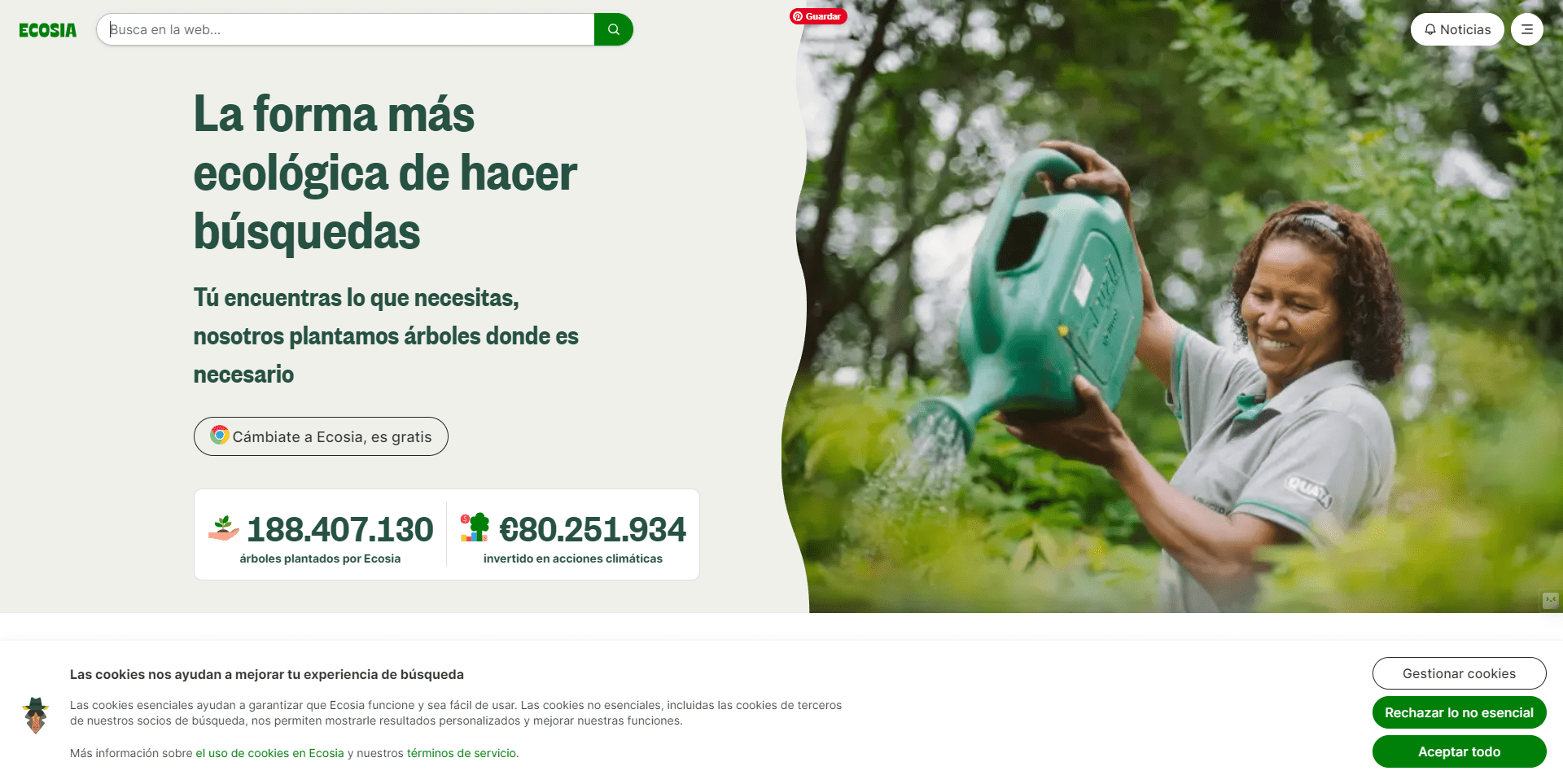 Ecosia es un buscador ecológico que destina el 80% de sus ingresos al plantío de árboles.
