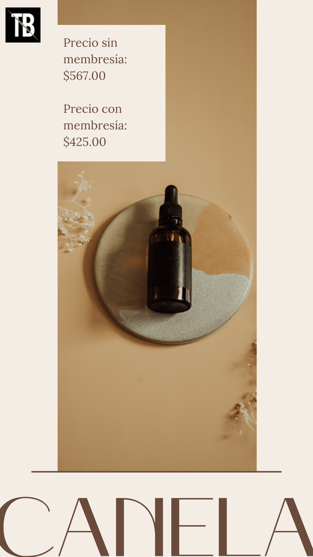 Programas de Fidelidad con Beneficios de Precio ejemplo para average users