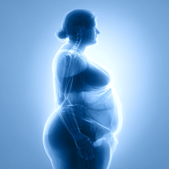 El futuro de la inteligencia artificial El futuro de la inteligencia artificial