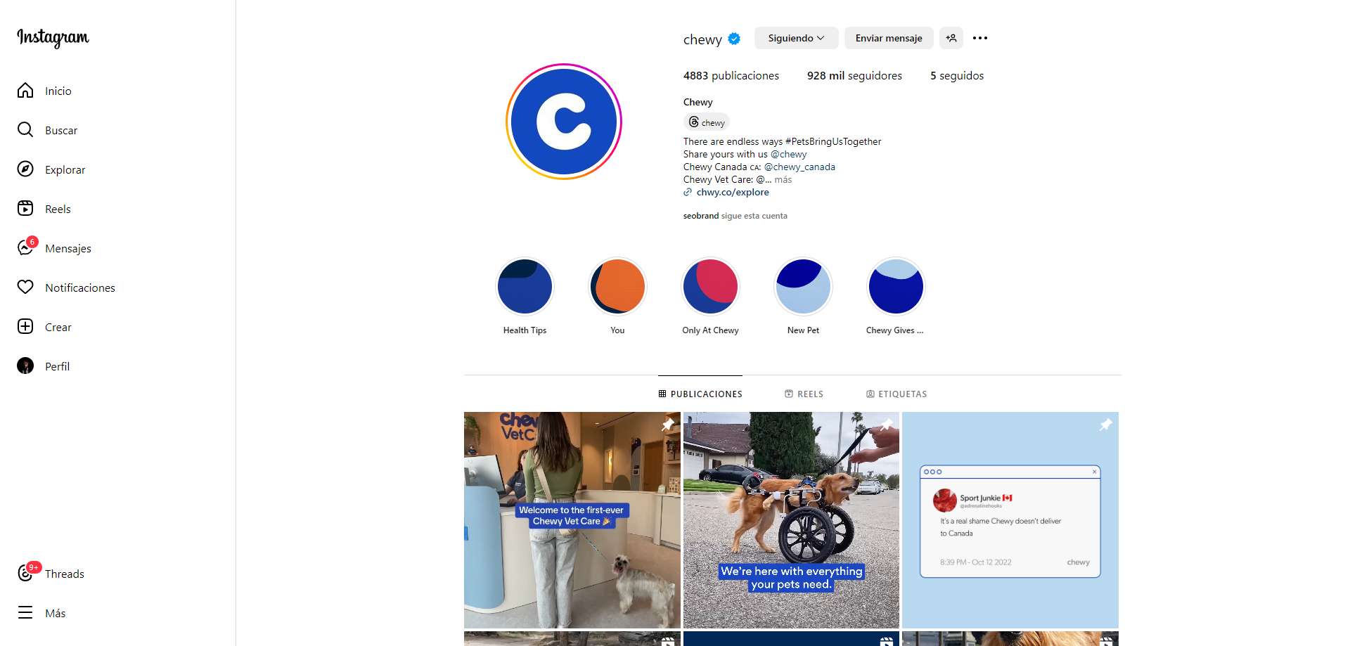 Marketing para Pet Shops