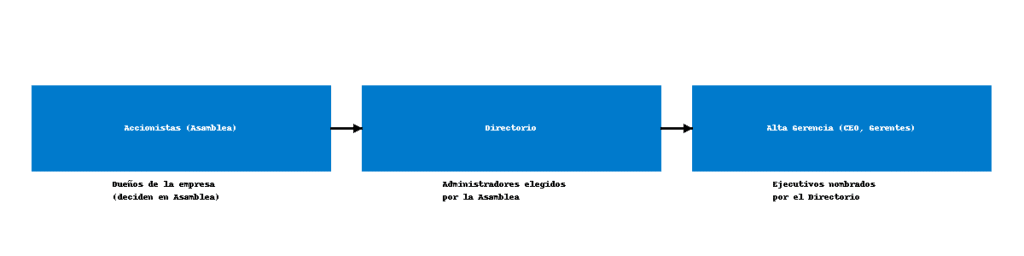 La estructura básica: accionistas, directorio y alta gerencia